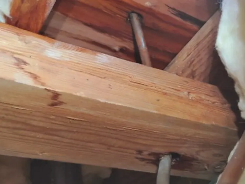 Leak detection work exposes the pipe area so the failure point can be confirmed near Cerritos, CA on Slab Leak Detection & Repair in Cerritos, CA body slab 002