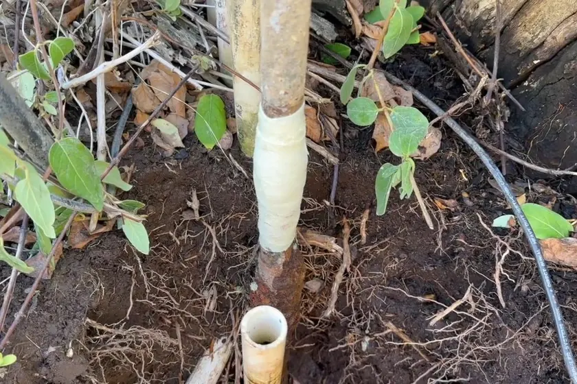 An outdoor faucet or water line connection is exposed for inspection near Cerritos, CA on Hose Bib & Outdoor Faucet Repair in Cerritos, CA faq hbr 003