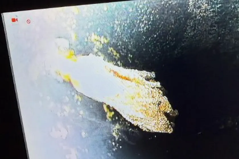 A sewer camera view helps reveal pipe condition inside the drain line near Bellflower, CA on Plumber in Bellflower, CA